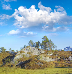 Moss covering rock boulders in remote a countryside or meadow in Norway. Algae covered landscape in quiet, serene, tranquil nature reserve. Environmental hike with blue sky with clouds and copy space