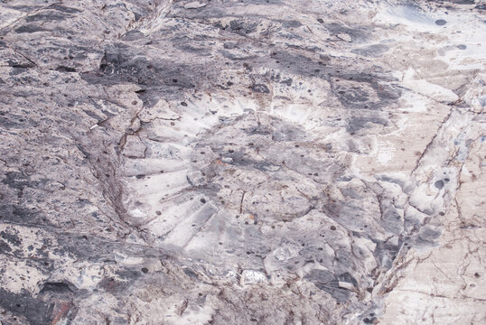 Fosiles en Patagonia