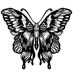 Butterfly doodle, Butterfly zentangle