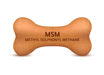 Bone shaped dry food for cats and dogs with methyl sulphonyl methane dietary supplement bones canine arthritis osteoarthritis. Can use for advertising pet food. On a white background vector 3D.