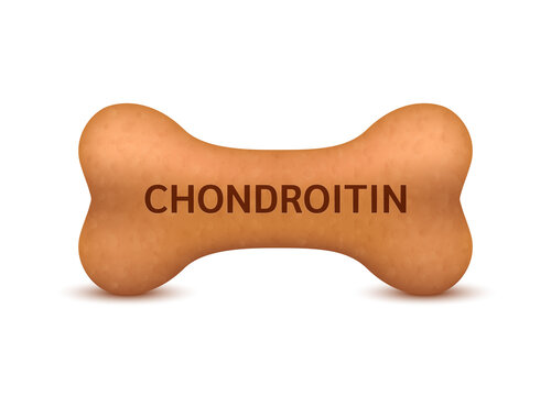Bone shaped dry food for cats and dogs with chondroitin dietary supplement bones canine arthritis osteoarthritis. On a white background vector 3D. Can use for advertising pet food.