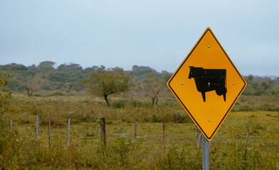 a cow sign icon  in the beautiful field