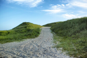 Closeup of a sand path with lush green grass growing on a beach with cloudy copy space. Beautiful blue sky on a warm and sunny summer day over a dry and sandy dune situated on a coastline bay area