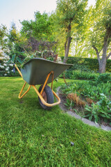 Maintenance equipment on cut fresh green grass in a clean backyard used for gardening, moving...
