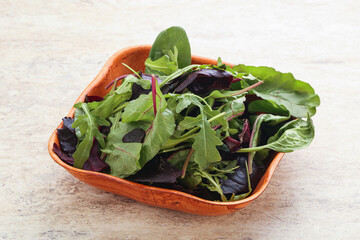 Vegetarian mix green vitamin salad