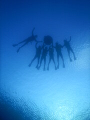 シュノーケリング