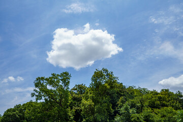 夏の青空と白いくも