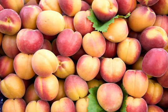 fresh ripe peaches as background, top view. High quality photo