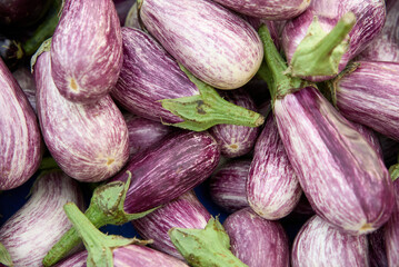 striped eggplants. Purple graffiti eggplant. High quality photo