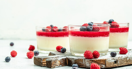 Italian dessert. Raspberry Panna cotta with raspberry jelly on a light background. Berry dessert...