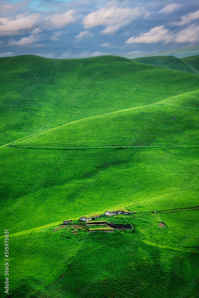 Wall mural landscape with cottages, grassland, forest and mountains