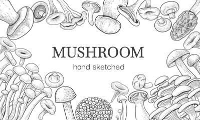 Mushroom sketch. Vintage forest frame with shiitake, hand drawn champignon, oyster truffle and chanterelle, black and white food border. Horizontal banner vector packaging illustration