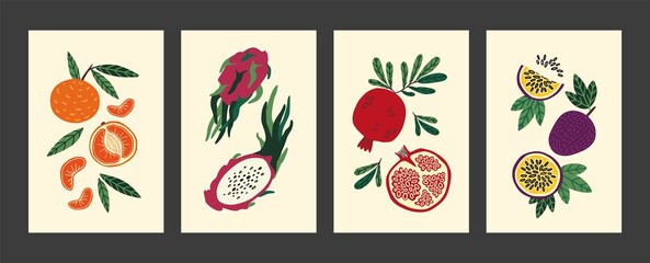 Abstract fruit poster. Modern food art, vintage hand drawn print of summer or autumn harvest with minimalist tropical plant. Mandarin exotic dragonfruit and pomegranate vector cartoon background