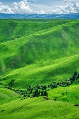 landscape with green grass, trees and sky