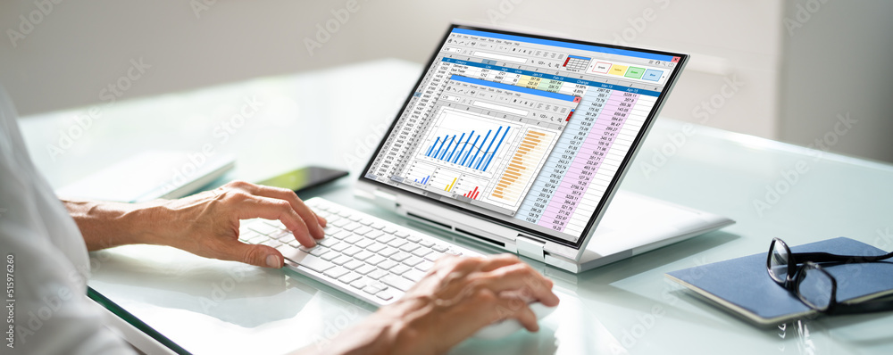 Poster electronic spreadsheet analyst or auditor using software