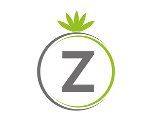 Letter Z Leaf Logo Design Template  Vector