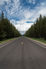 Long empty road into the forested mountain horizon, Cascade Lakes Oregon