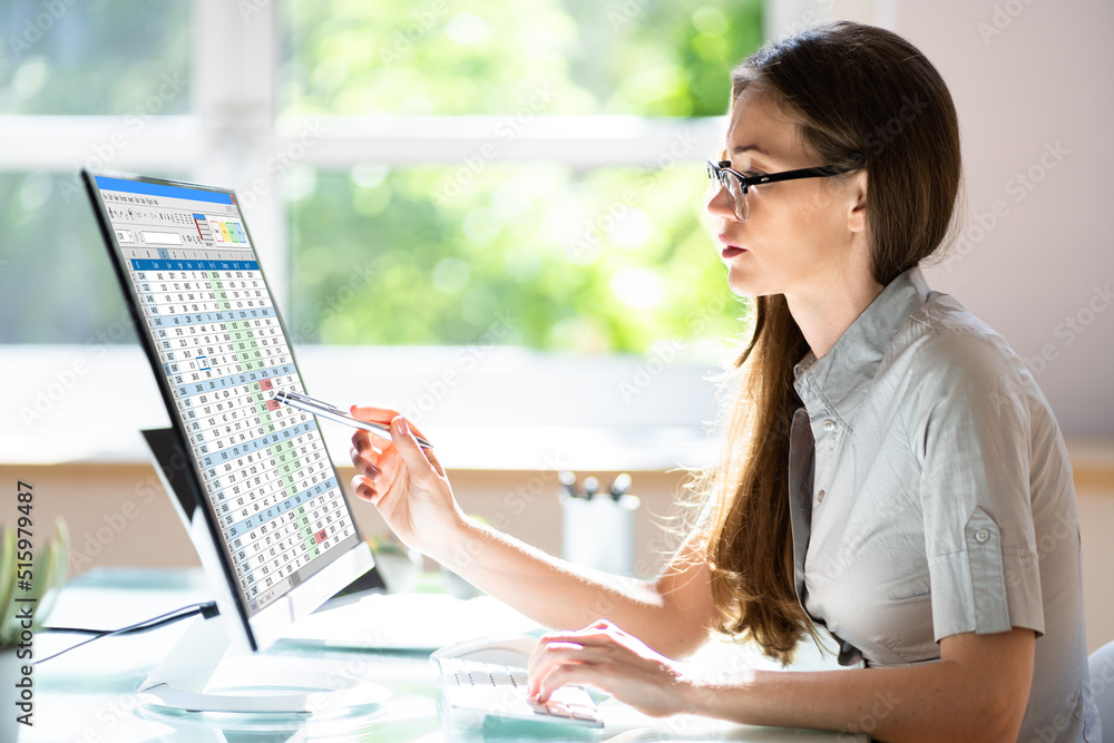 Poster electronic spreadsheet on analyst auditor computer
