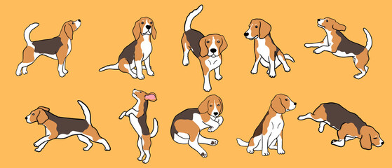 set of beagle dog in different poses. Small hunting dog with brown-white coat and long ears. Puppy with cute muzzle on yellow background