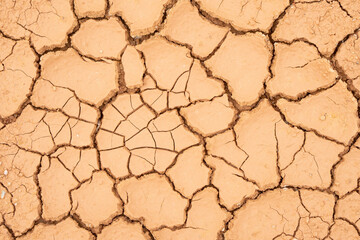 Land area that is divided into sheets. for nature background and textured.