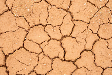 Land area that is divided into sheets. for nature background and textured.
