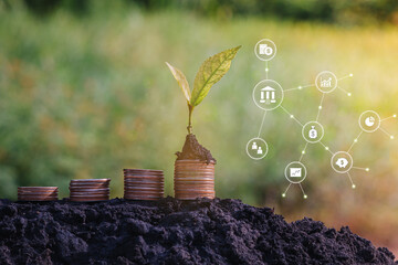 Investment And Interest Concept, green plant growing on golden coin  in park with blur nature...