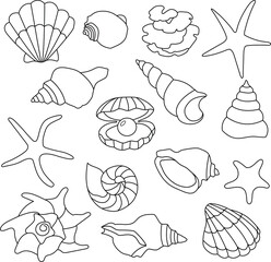 Hand drawn set of seashells. Oceanic sea shell, starfish spiral clam, shell. Outline set isolated vector illustration.