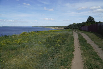 Fototapeta premium Picturesque Summer landscape with tree and herbs on the Volga River coast. Ulyanovsk