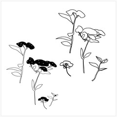 Shrub flowers seamless pattern.