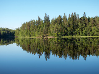 Fototapeta na wymiar reflection on forest lake in summer