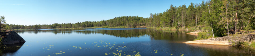 panorama of the lake in summer