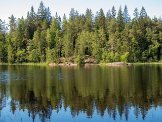 Fototapeta na wymiar reflection on forest lake