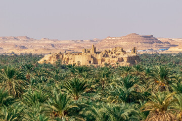 Old castle between palm-trees in siwa oasis Egypt