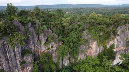 Fototapeta premium lavender field in region