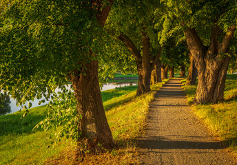 Way home, river Morava, trees, iron bridge, 