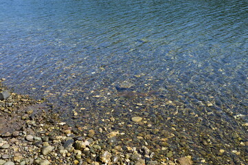 Stony Beach at the Puget Sound on Olympic Peninsula, Washington