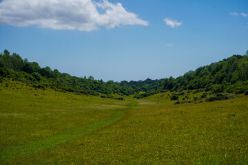 Wide countryside view of green grass and hills