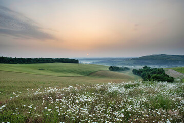Beautiful English Summer sunrise landscape image looking over rolling hills with mist in distance and hazy sun low in the sky - 515990806