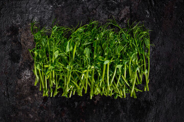 Microgreen sprouts of peas