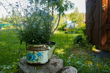 Fototapeta na wymiar Vintage teapot with forget-me-nots flowers on the stump in countryside