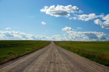 Fototapeta na wymiar Rural landscape. Road through the field. Horizon. Perspective. White clouds. Blue sky. Summer. Noon