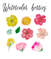 Watercolor hand drawn simple flowers elements, different wild flowers, isolated elements, botanical, pink flowers, green leaves, tropical,  pink