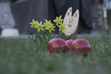 osterhasen und narzissen