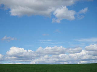 Cumulus clouds and field. Horizon and sky with field
