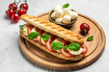 Italian caprese salad Panini Sandwich with sliced tomatoes, mozzarella, basil, olive oil on a light background. top view. place for text