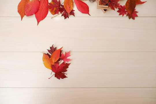Autumn seasonal concept background. Colorful autumn leaves on white wooden background. Thanks giving, Halloween and Autumn event decorative elements.