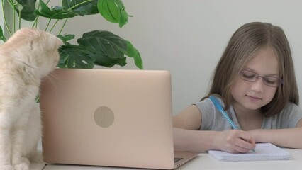 Back to school. Distance learning concept. School girl in glasses studying online using laptop. Cat sitting next to child. Preteen kid pupil student doing homework at home - Powered by Adobe