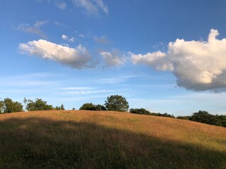 green field and sky