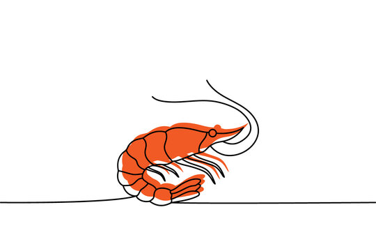 recommend clip art: Set of Shrimp one line colored continuous drawing. Shrimp continuous one line colorful set illustration. Vector minimalist linear illustration.