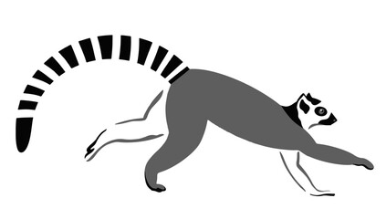vector running lemur isolated on white